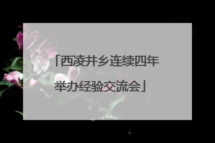西凌井乡连续四年举办经验交流会